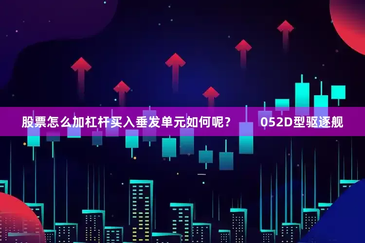 股票怎么加杠杆买入垂发单元如何呢？       052D型驱逐舰
