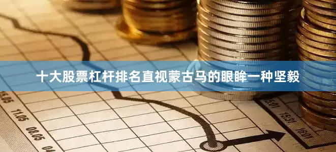 十大股票杠杆排名直视蒙古马的眼眸一种坚毅