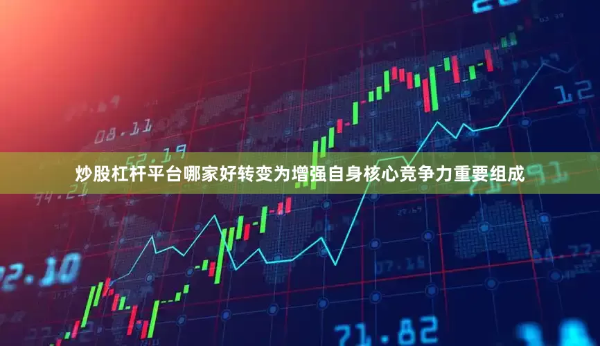炒股杠杆平台哪家好转变为增强自身核心竞争力重要组成