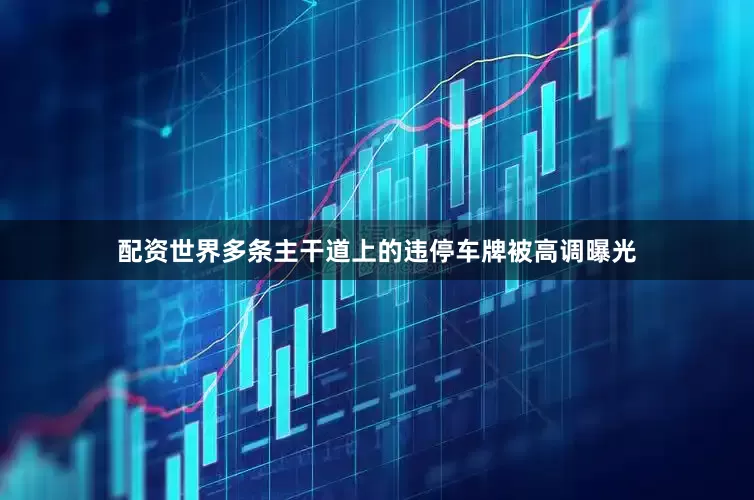配资世界多条主干道上的违停车牌被高调曝光