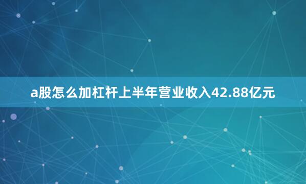 a股怎么加杠杆上半年营业收入42.88亿元